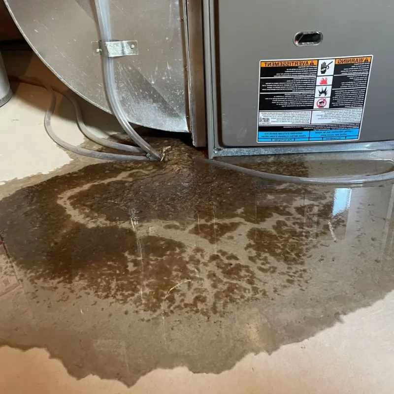 Pipe Burst and Leak Restoration in West Glens Falls, NY
